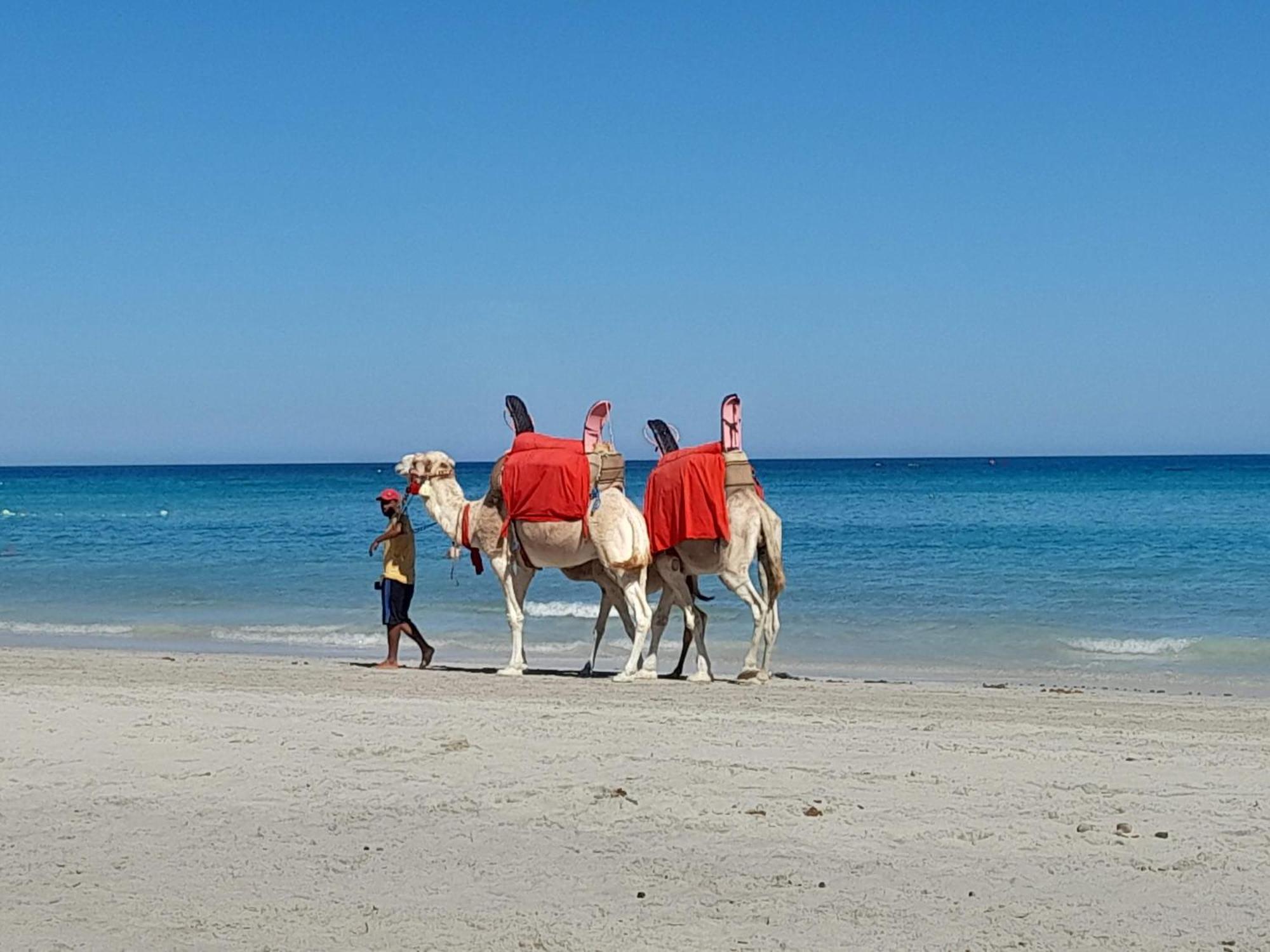 Dar El Kahina Djerba Hotel Mezraia Exterior foto